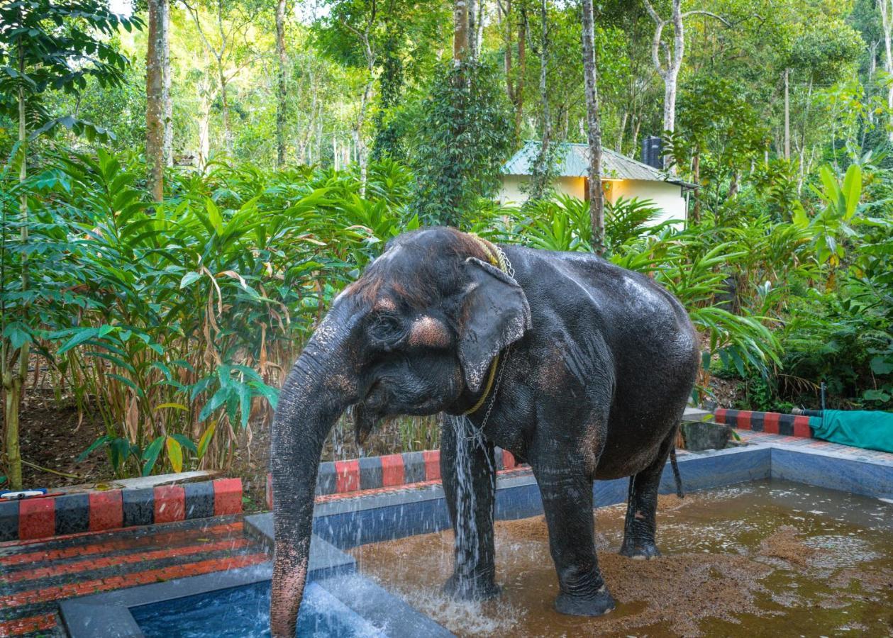 Amritara Shalimar Spice Garden Hotel Thekkady Bagian luar foto