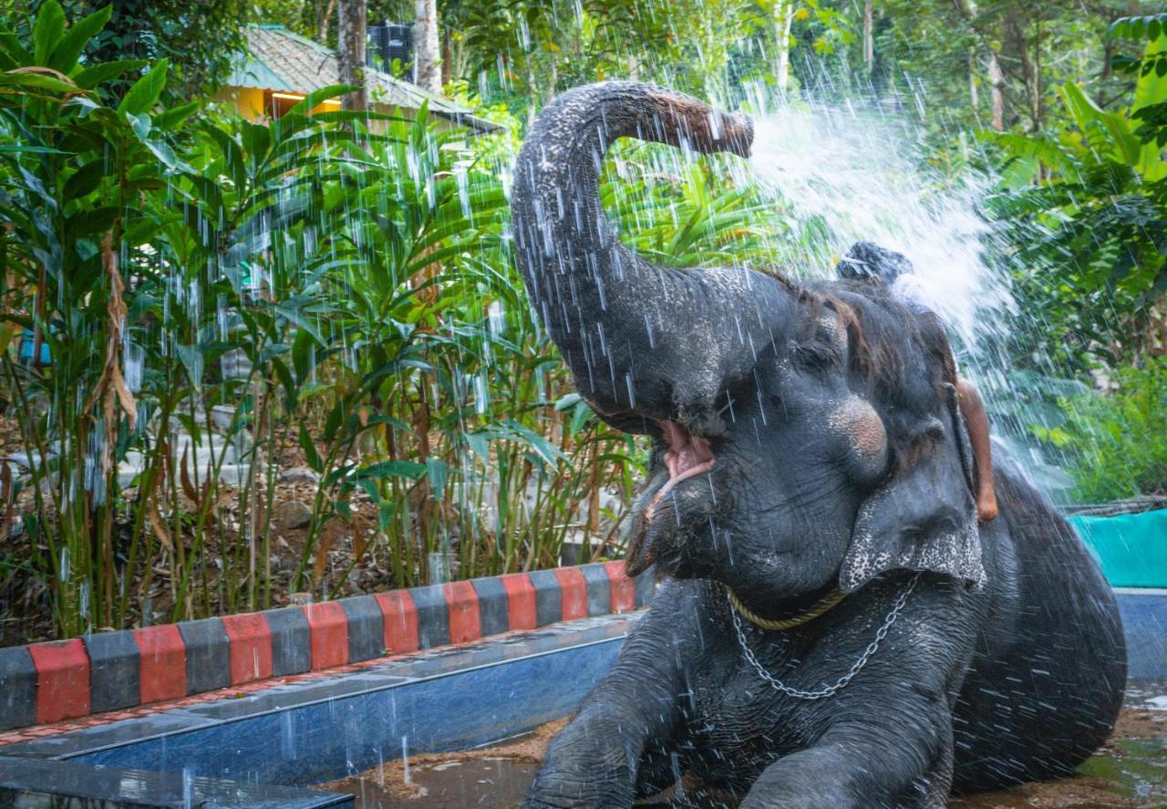 Amritara Shalimar Spice Garden Hotel Thekkady Bagian luar foto